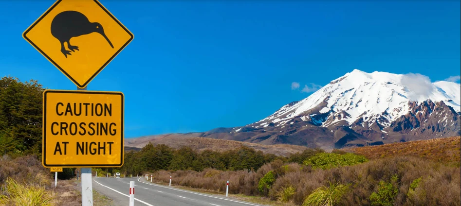LensesOnline NZ — Online Stores in Auckland