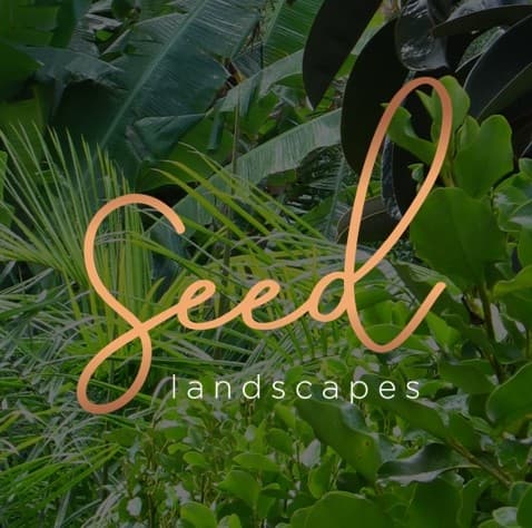 Seed Landscapes