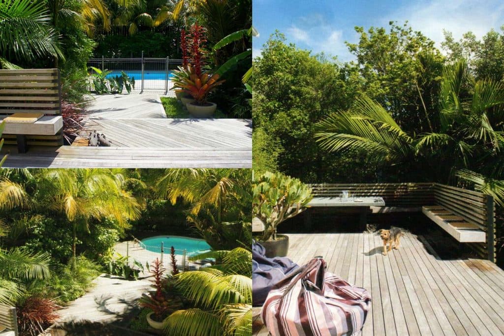 Seed Landscapes — Landscaping Services in Auckland