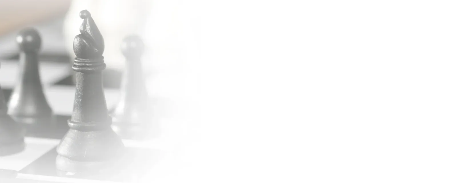 Bishop Associates — HR & Recruitment Services in Christchurch