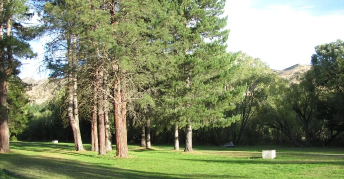Balmoral Recreation Reserve Camping Ground — Sport & Recreation in Balmoral