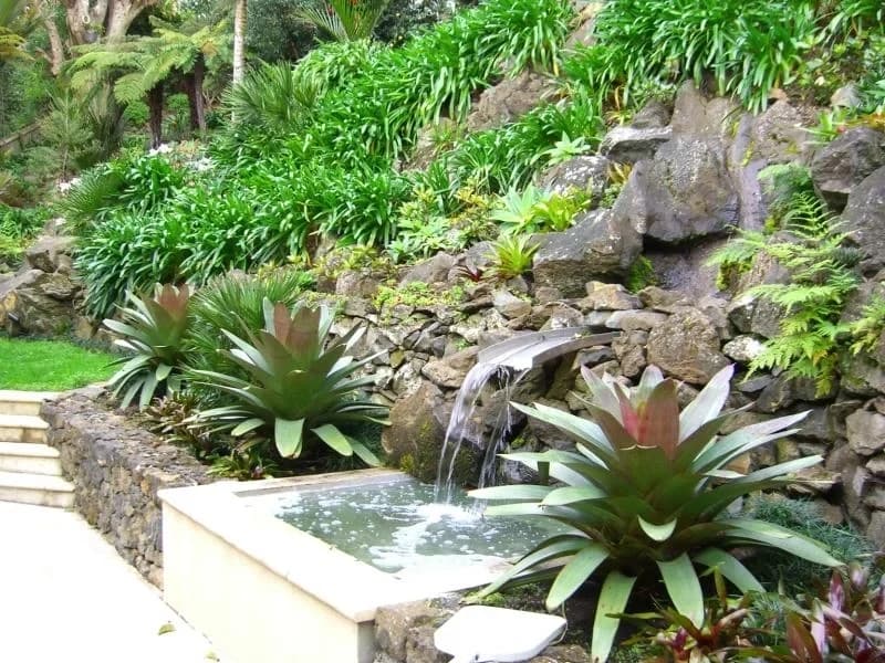 Classique Landscapers — Landscaping Services in Auckland