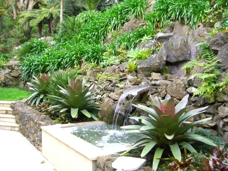 Classique Landscapers — Landscaping Services in Auckland