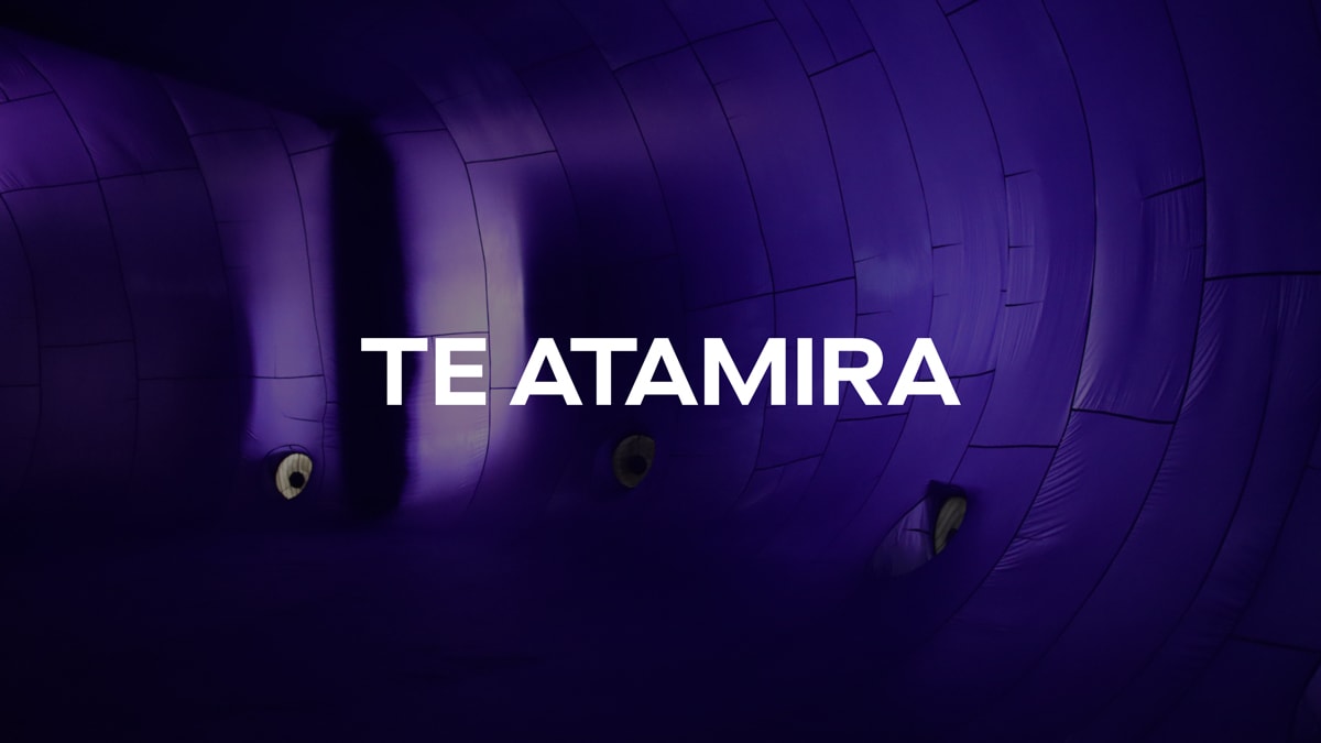 Te Atamira Whakatipu Commuity Trust — Non Profit Organisations in Frankton
