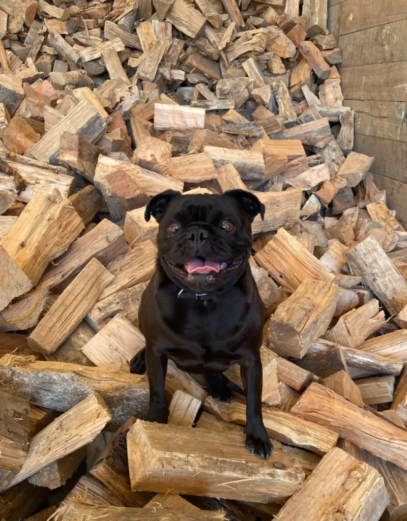 Storcon Firewood — Garden Centres in Christchurch
