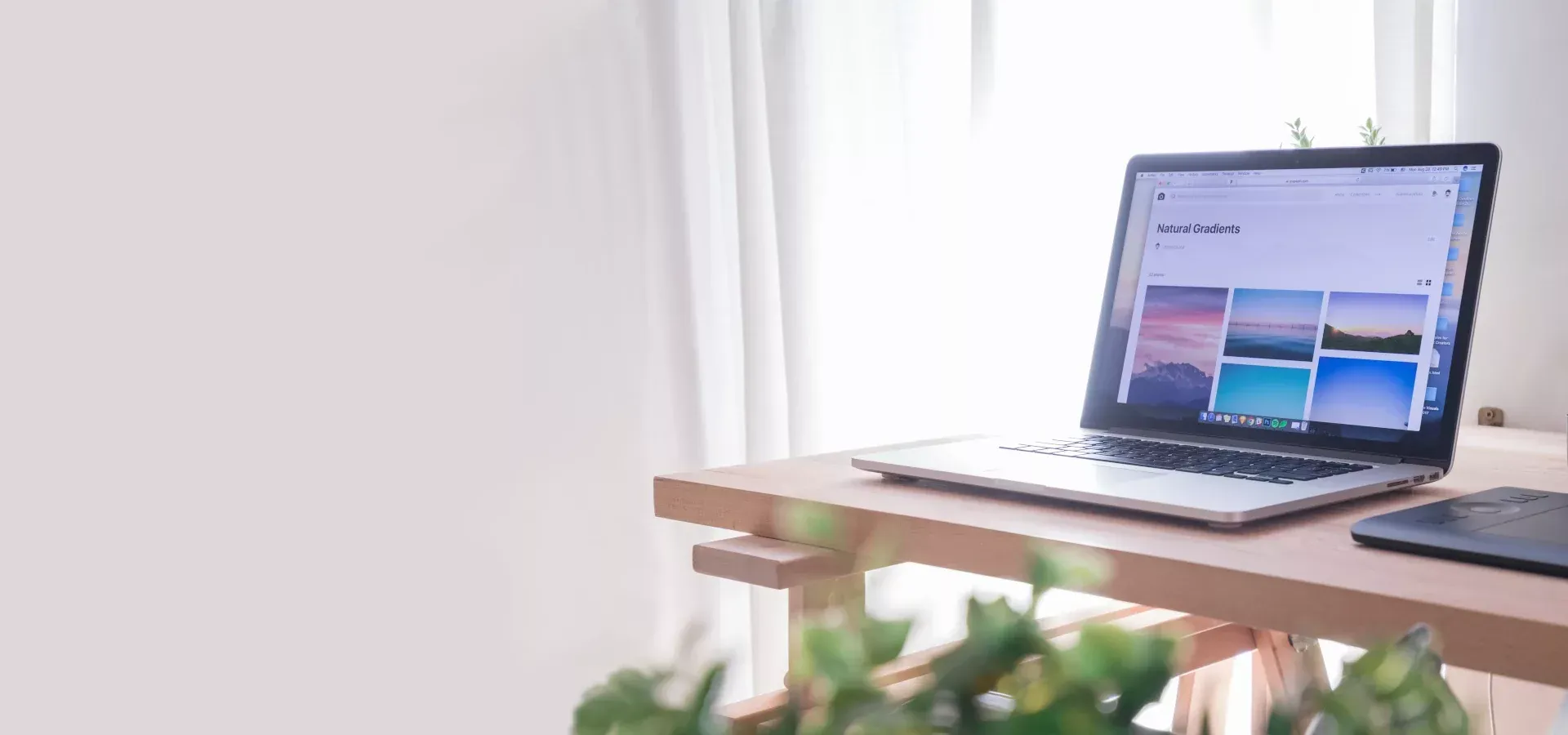 Hello Web — Website Designers in Howick