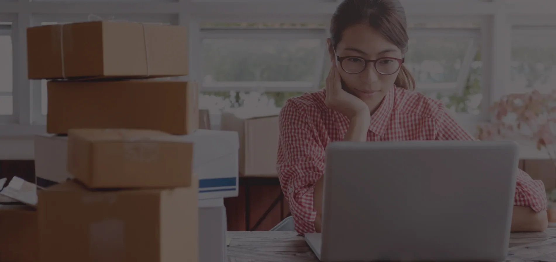 Web Based — Digital Marketing Agencies in Auckland