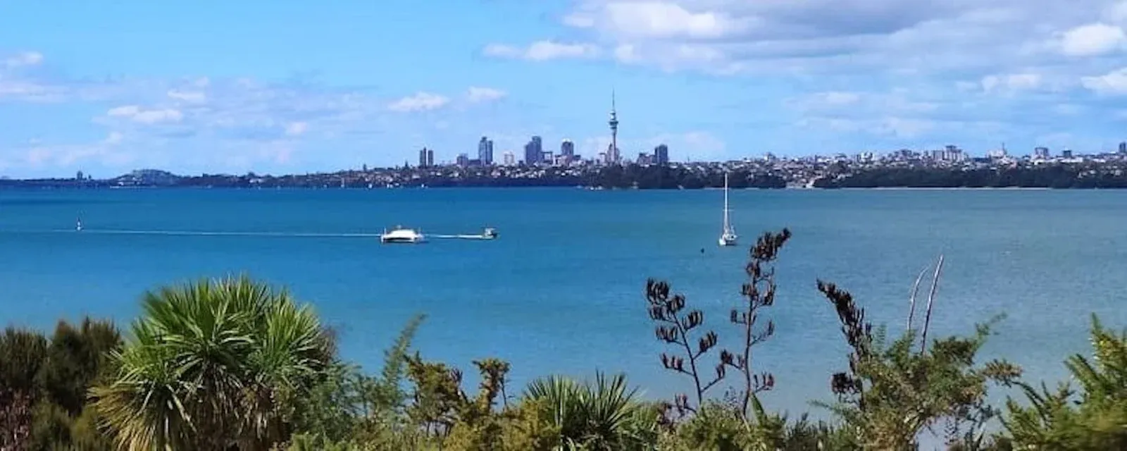 ClearStone Legal — Legal Services in Te Atatū