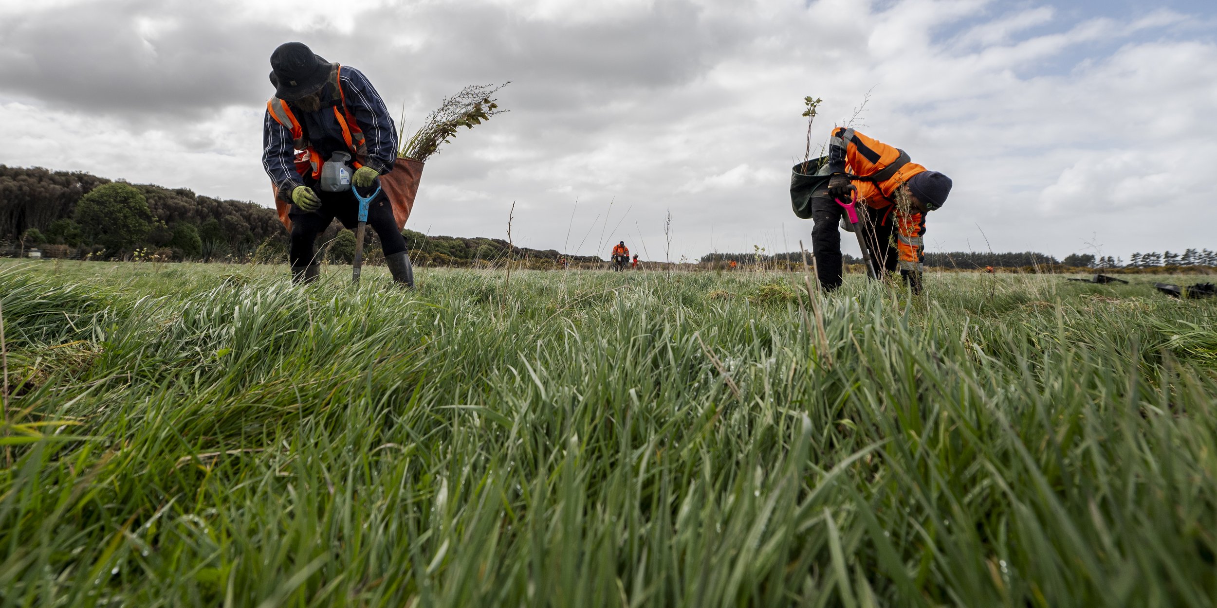 Te Tapu o Tāne Limited — Agricultural Services in Invercargill