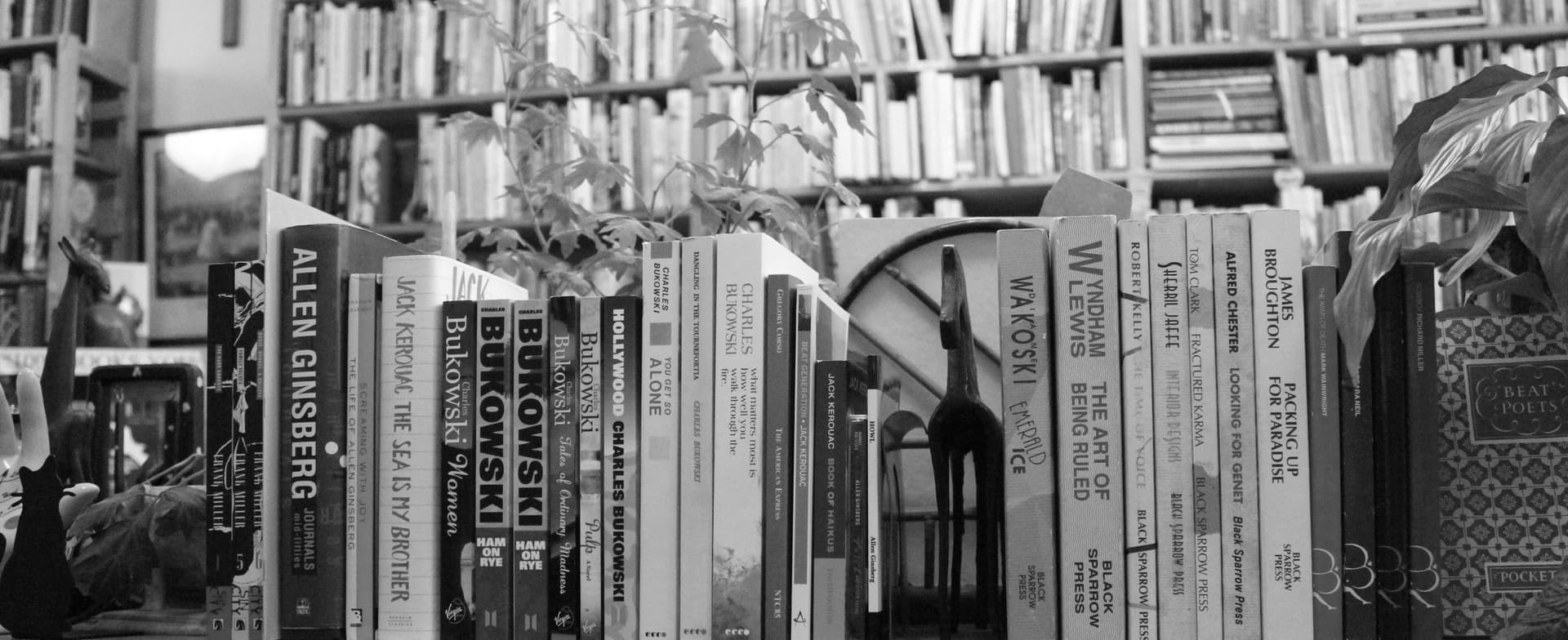 Pegasus Books — Bookstores in Wellington
