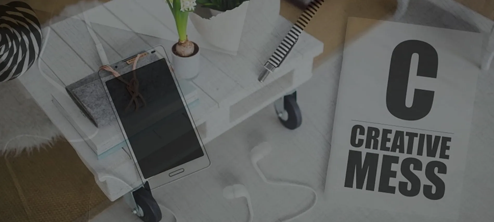 WordPress Developer — Website Designers in Auckland