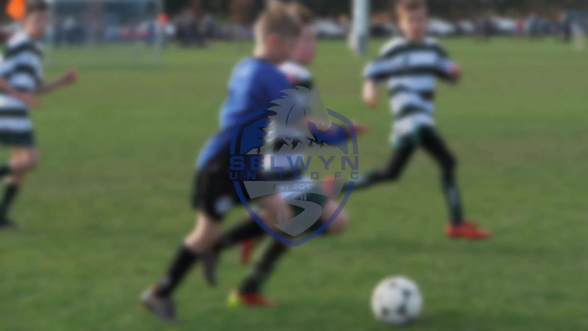 Selwyn United Football Club — Sport & Recreation in Rolleston