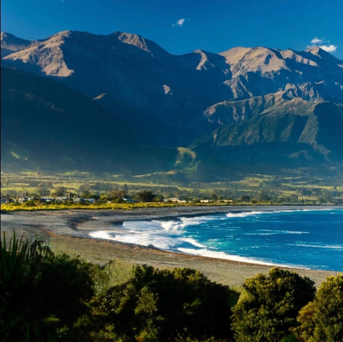 Piko Bu Kaikōura — Health & Wellness in New Zealand