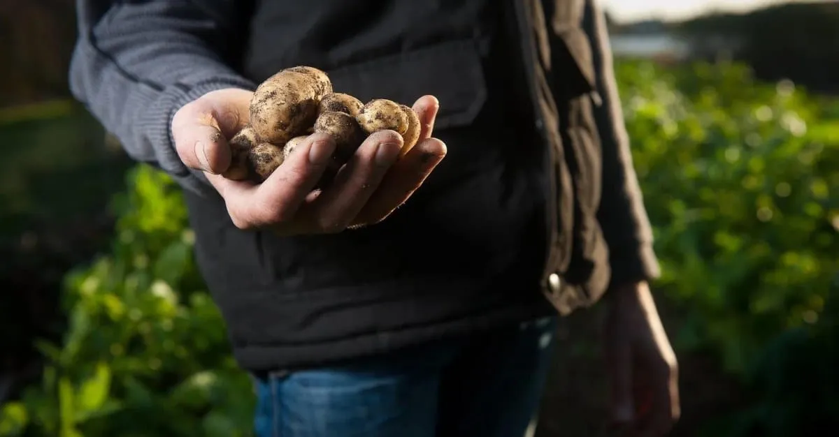 Rural Business Accountants — Accountants in Ashburton