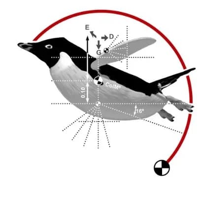 Animation Research Ltd