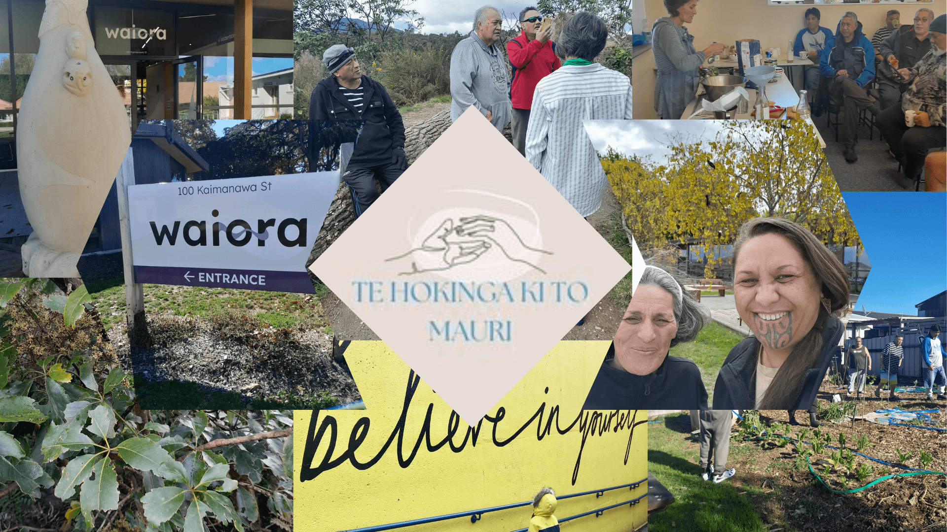Te Hokianga ki to Mauri — Health & Wellness in New Zealand