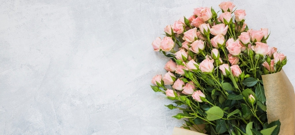 Flowers Across Christchurch — Florists in Christchurch