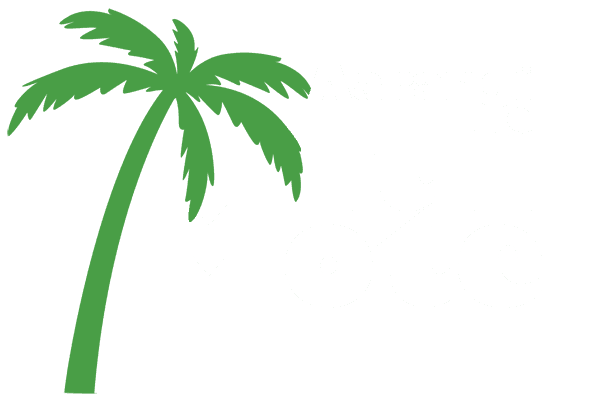 Aarangi Tui Motel