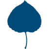 Aspen Institute New Zealand