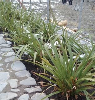 Plantgroup New Zealand
