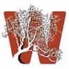Wanaka Tree Care