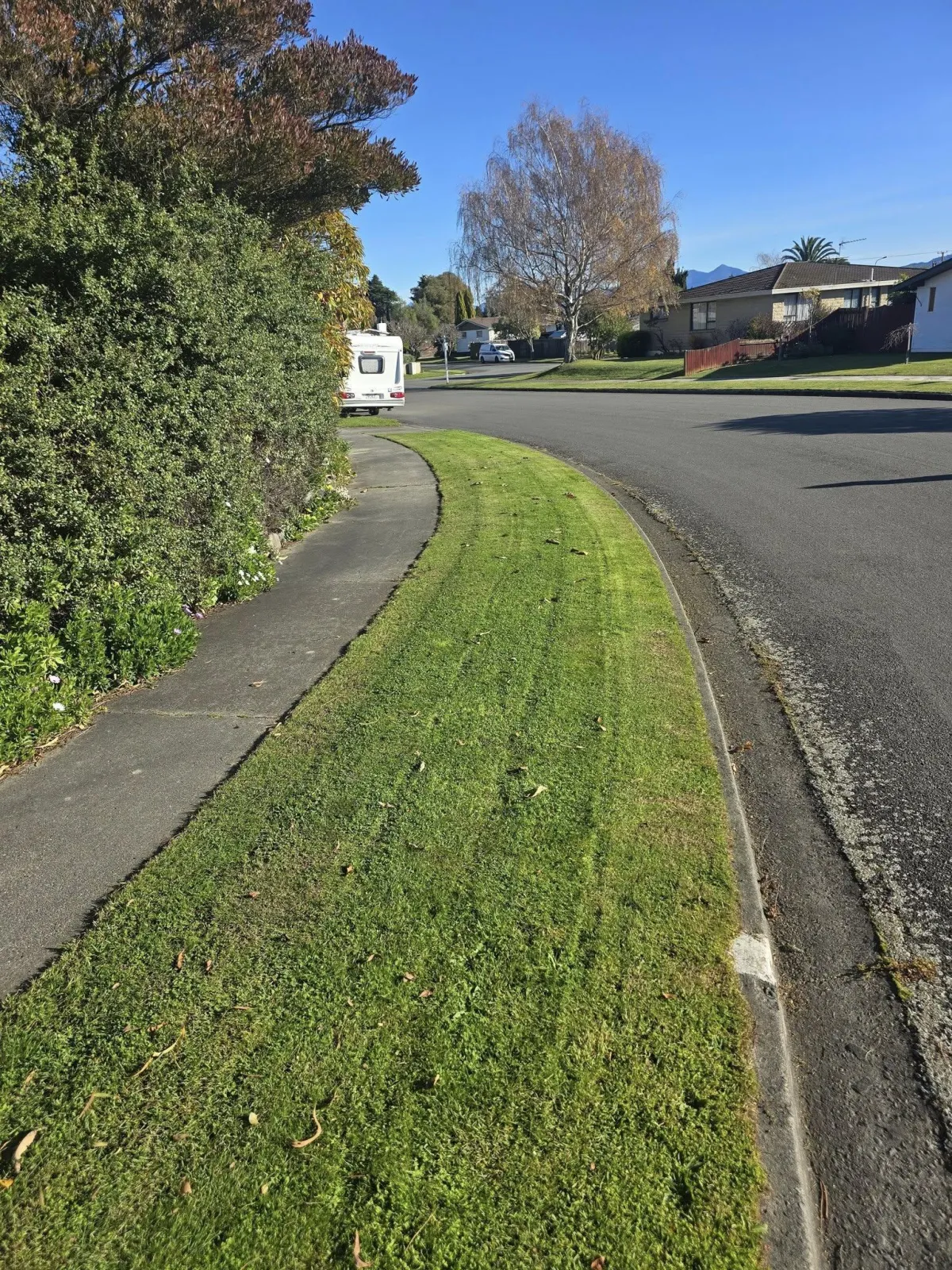 Blenheim Lawncare & Services — Gardening Services in Blenheim