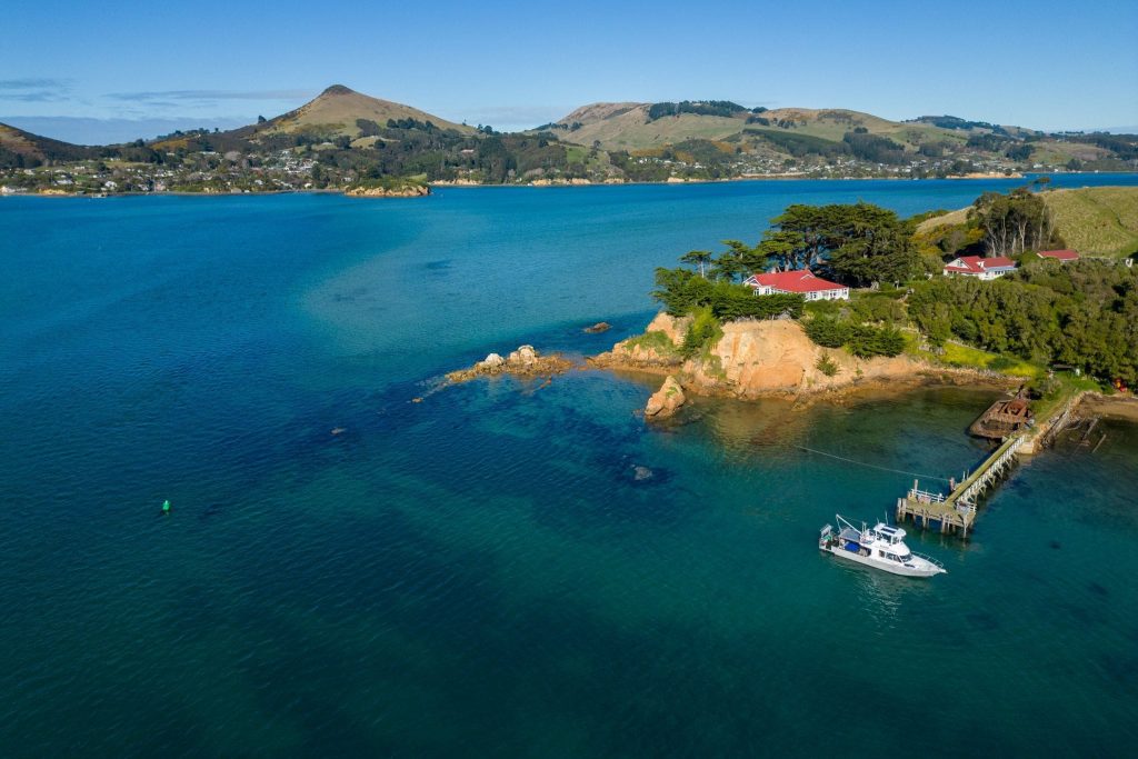 Otago Water Taxis and Tours — Travel & Tourism in Dunedin
