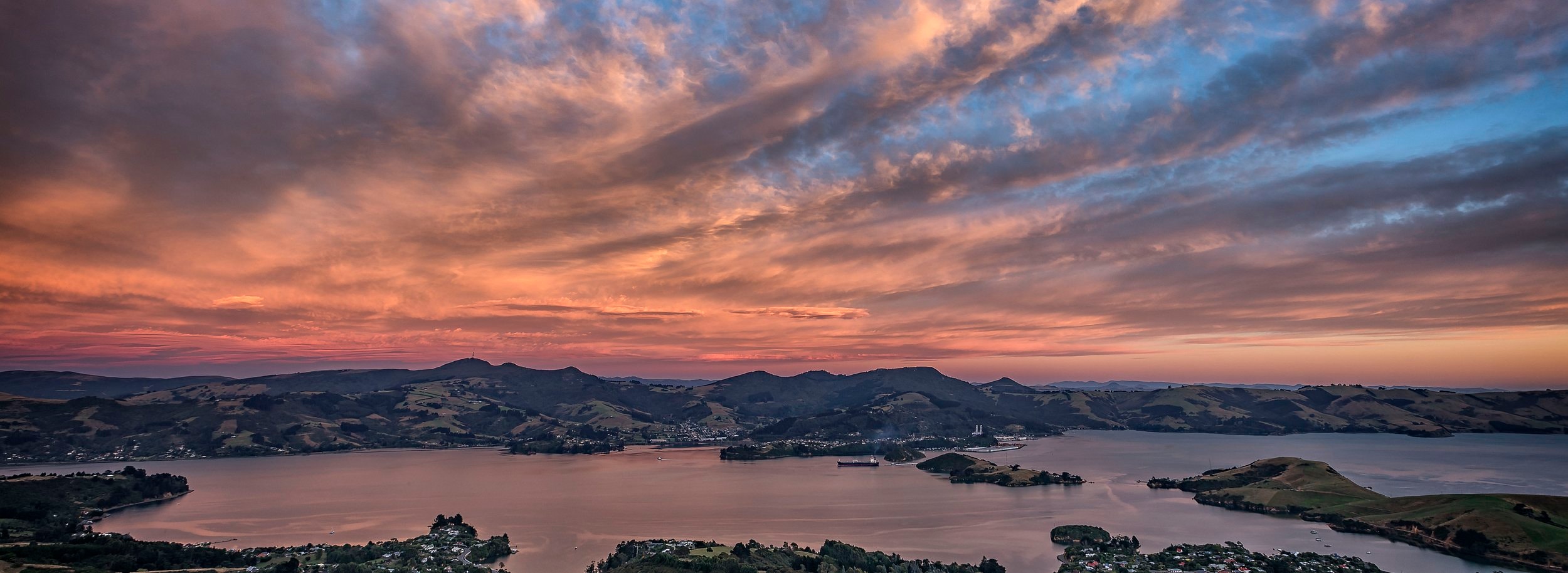 The Halo Project — Professional Services in Dunedin