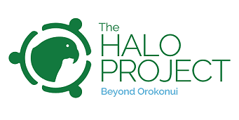 The Halo Project