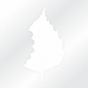 Silver Birches Dental