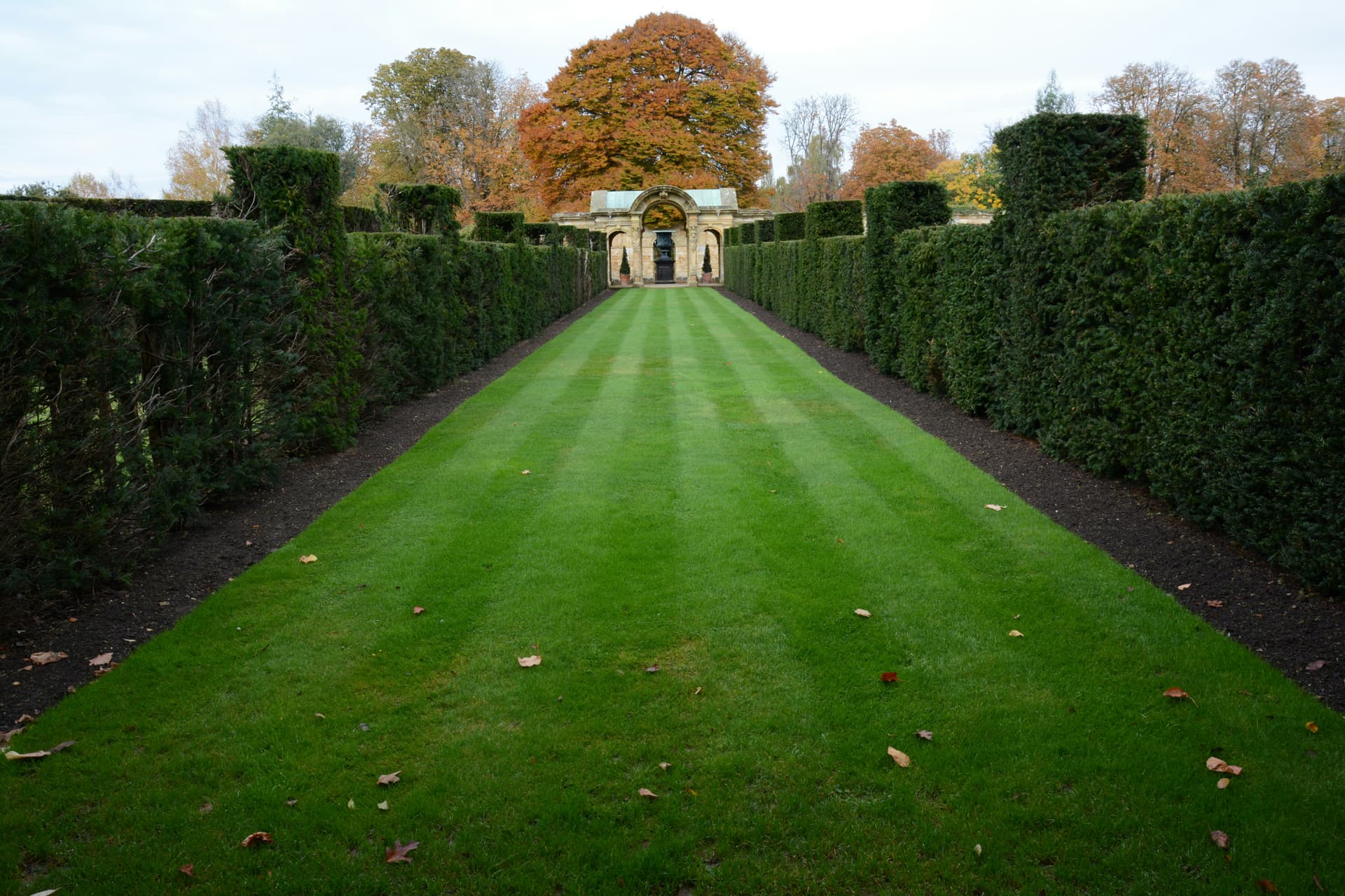 Kapiti Lawn Care Services — Gardening Services in Wellington