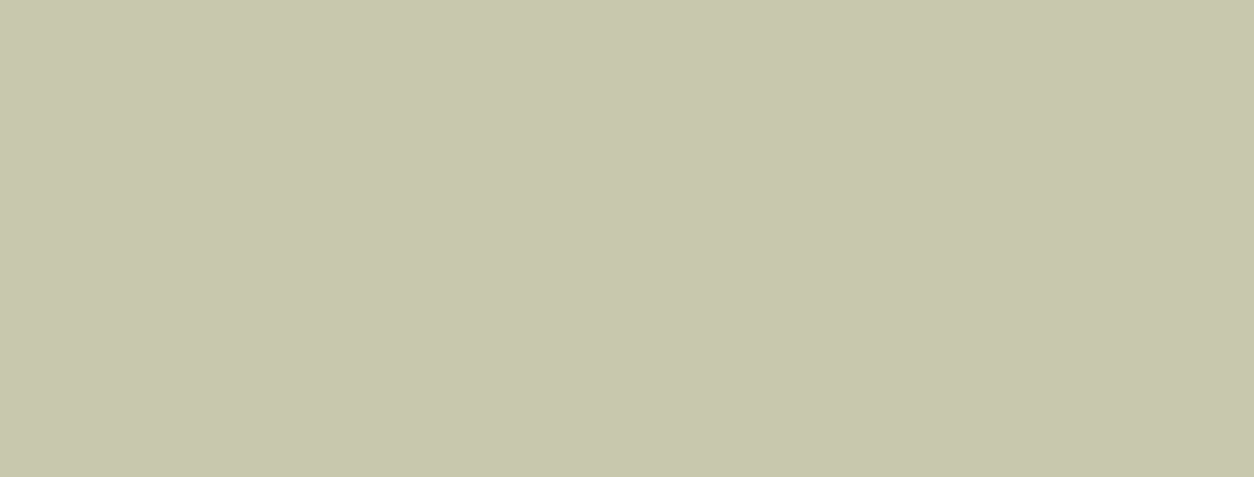 Pocket Square — Website Designers in Nelson