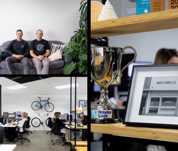 Maisey Harris & Co — Accountants in Hamilton