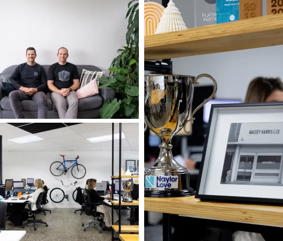 Maisey Harris & Co — Accountants in Hamilton