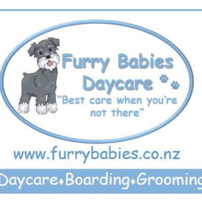 Furry Babies Daycare