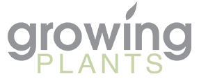 Growing Plants