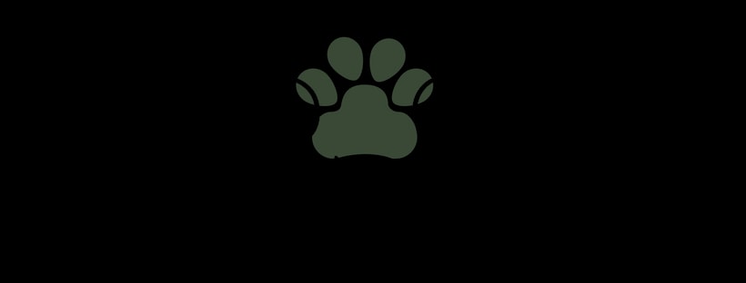 Raw Pawz — Pet Stores in Cambridge