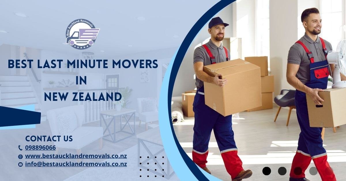 Auckland Movers: Best Moving Company in Auckland — Moving Companies in Auckland
