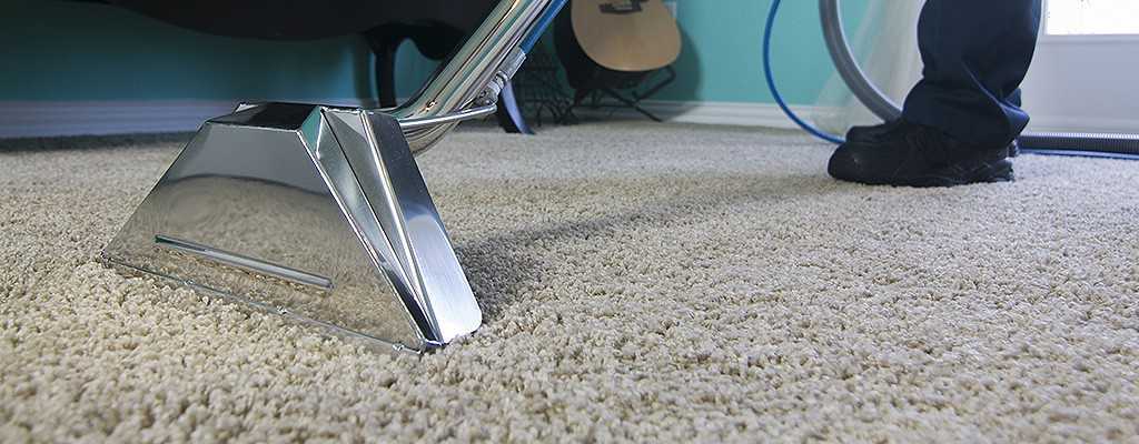 Carpet Pro — Cleaning Services in Feilding