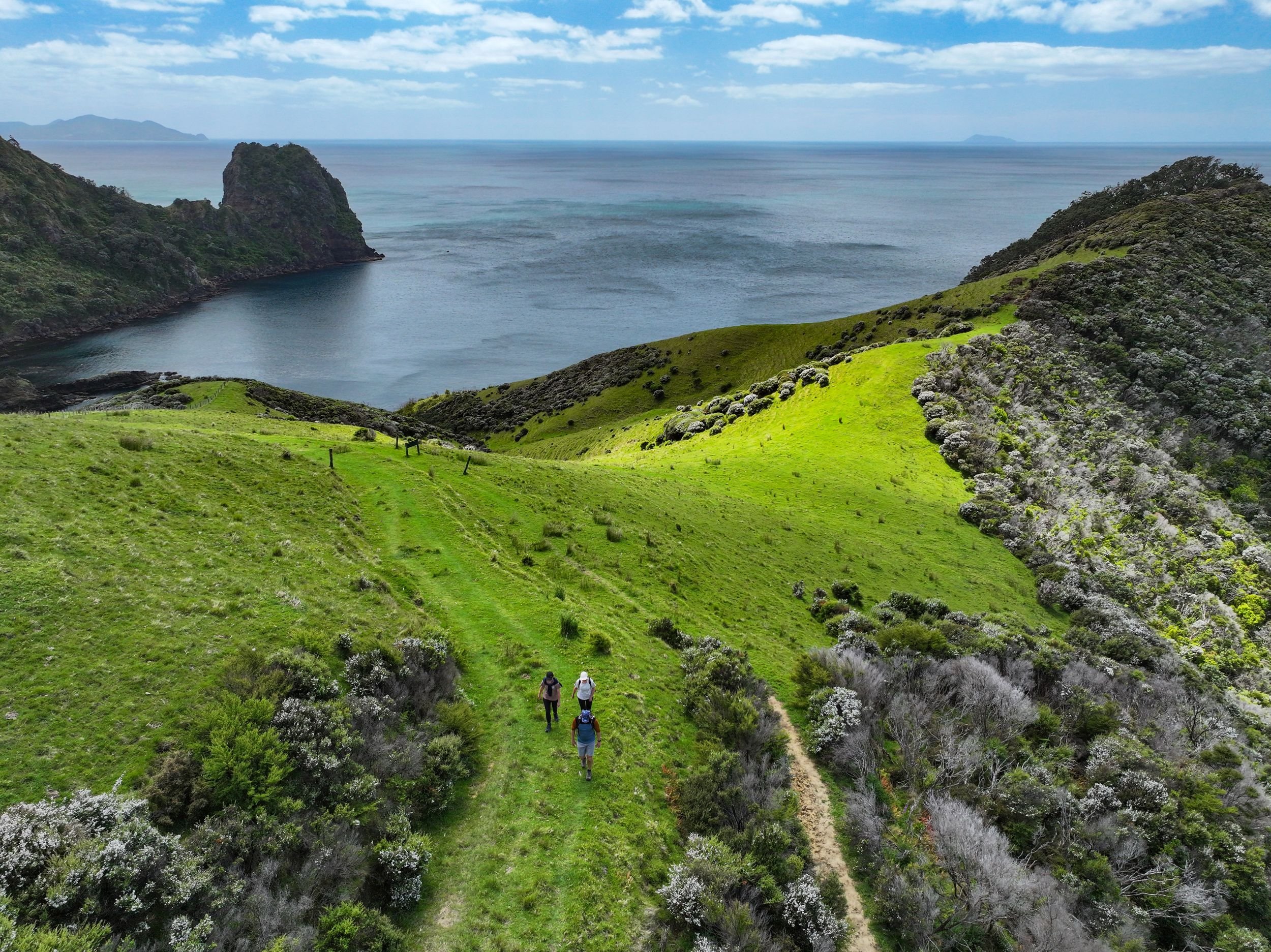Hike & Bike Coromandel — Travel & Tourism in Colville
