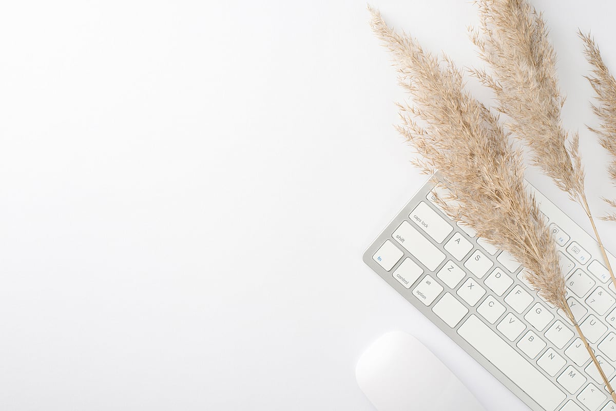 Kaz Design — Digital Marketing Agencies in Cambridge