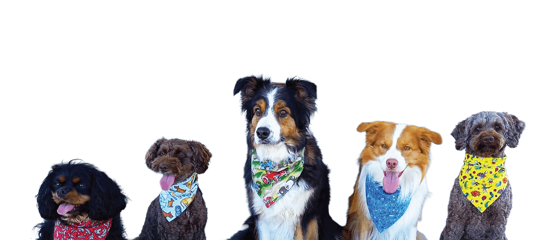 Cool Bandanas NZ — Pet Stores in Christchurch
