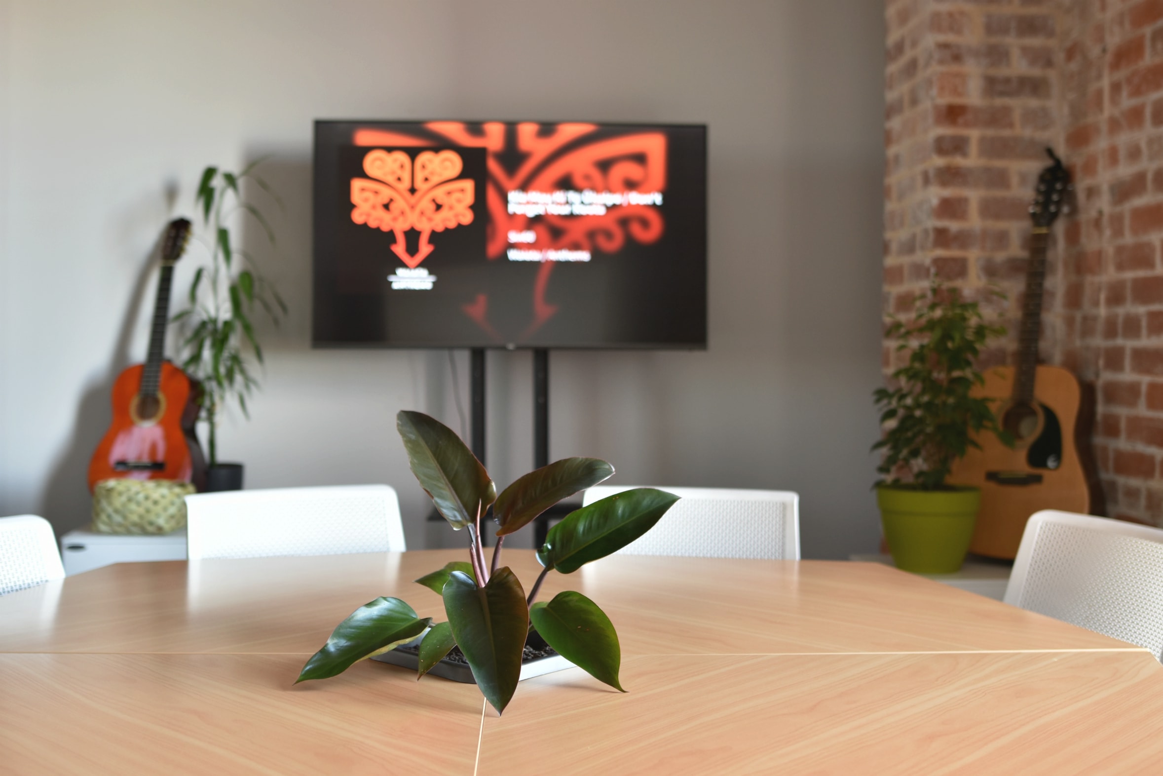 INNOV8HQ — Professional Services in Dunedin