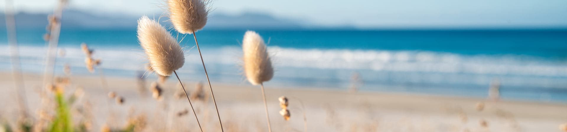 West Auckland Psychology — Counselling Services in Whau