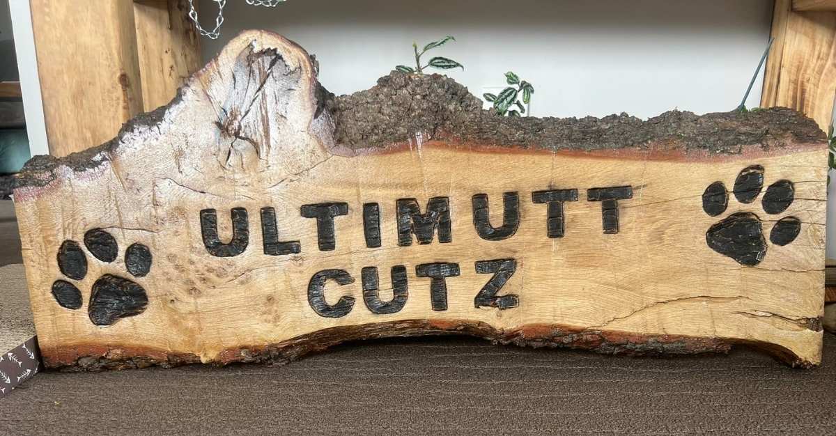 Ultimutt Cutz Dog grooming — Dog Groomers in Christchurch