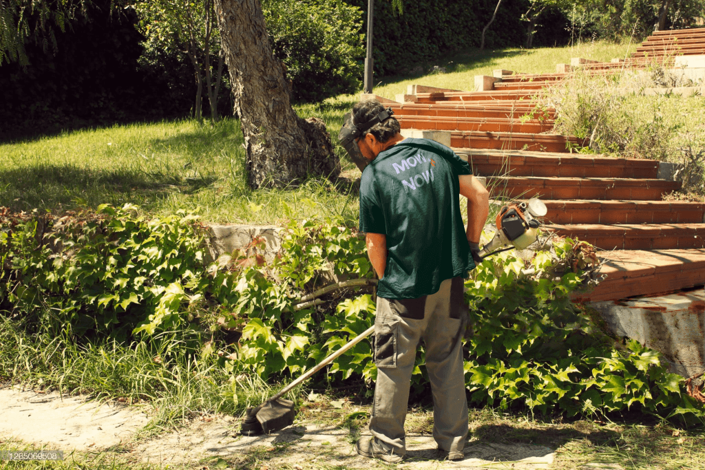 MOW NOW — Gardening Services in Rangiora