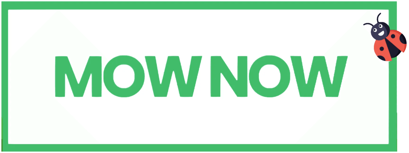 MOW NOW