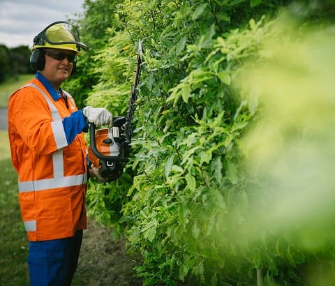 Treescape — Arborists in Christchurch
