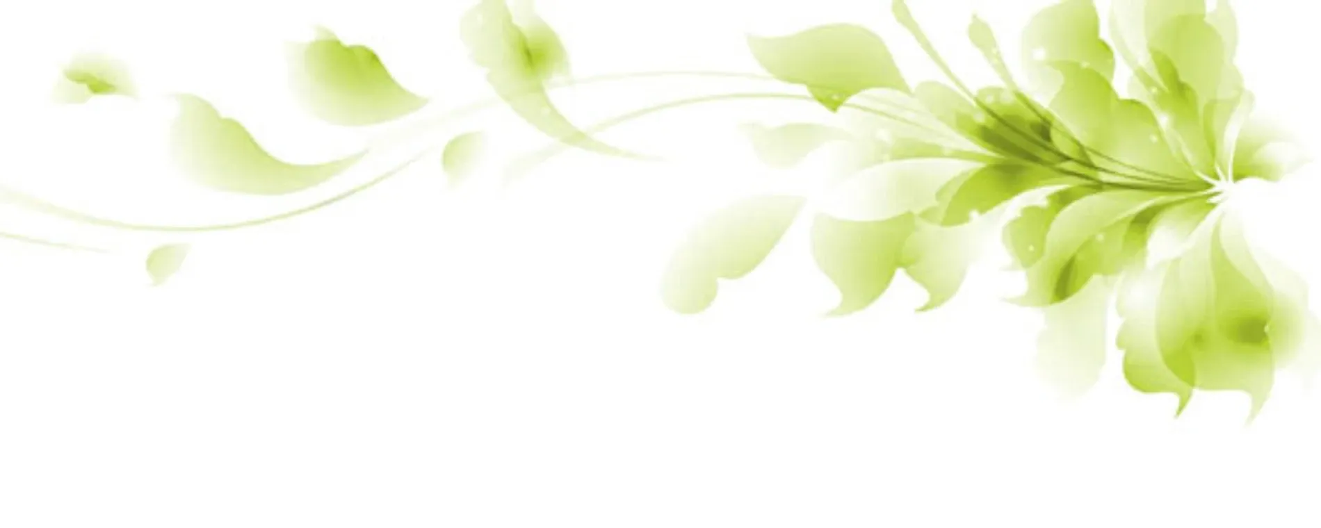 Complete Balance — Chiropractors in Onehunga