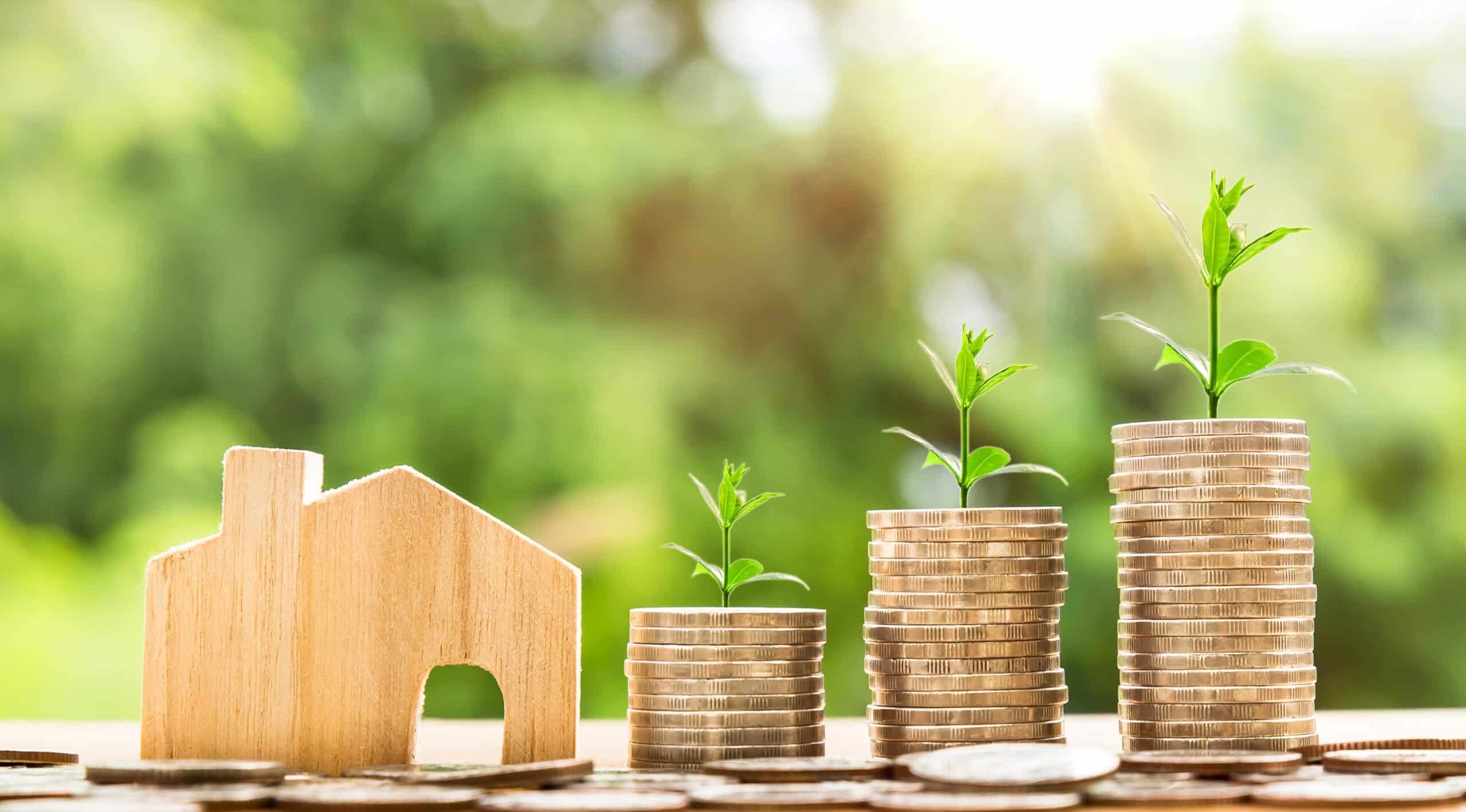 Property Accountants — Accountants in Auckland